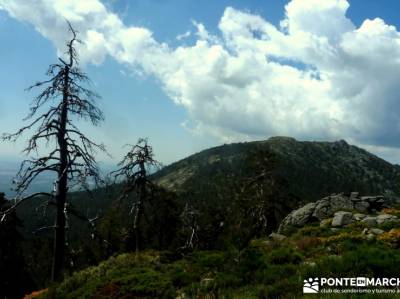 Peña Águila - DAS2015 - Federación Madrileña Montañismo; excursiones ; rutas madrid;viajes puen